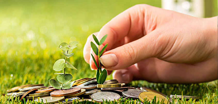 What is mutual fund