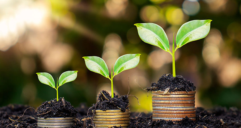 what is a fixed income instrument
